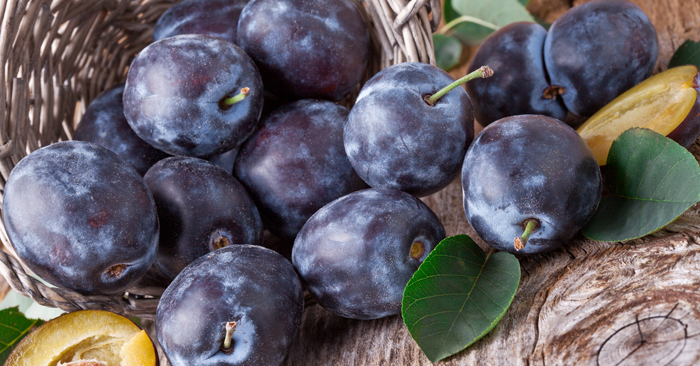 The Top 6 Questions We’re Asked About Prunes