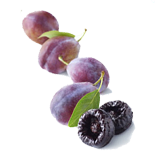 Top 6 What is a prune fruit 1 what exactly is a prune