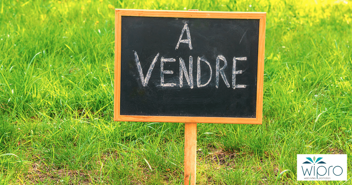 Terrain à vendre - West indies Promotion