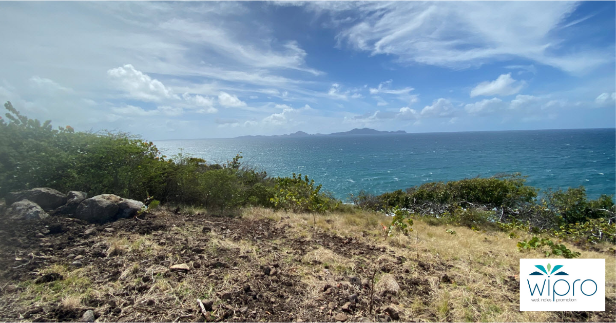 Blog Images