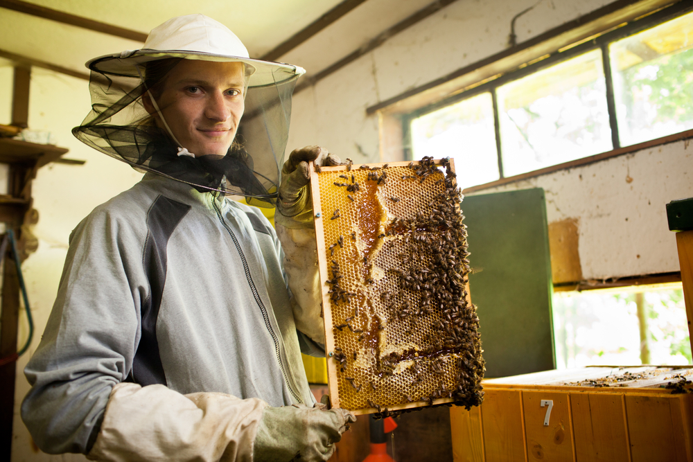 Beekeeper Dealing with a Swarm