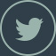 Twitter Icon