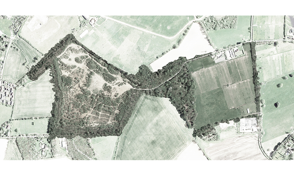 Sussex Site | Sussex