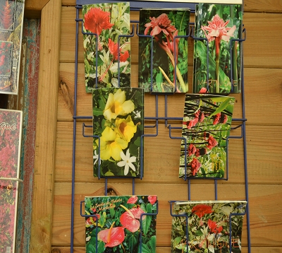 Cartes postales