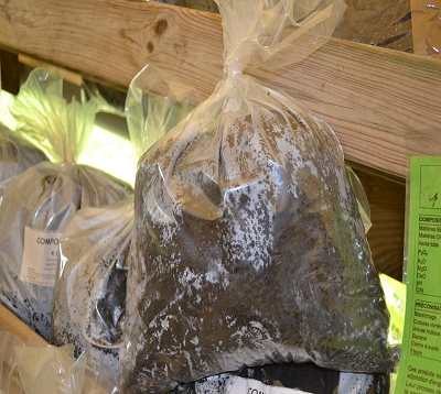 Compost