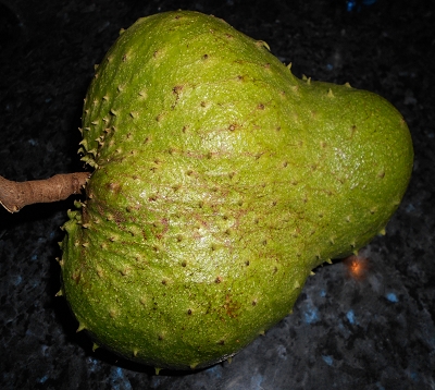 Annona muricata - Corossolier