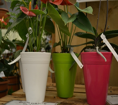 Pot Dante (coloris variés)