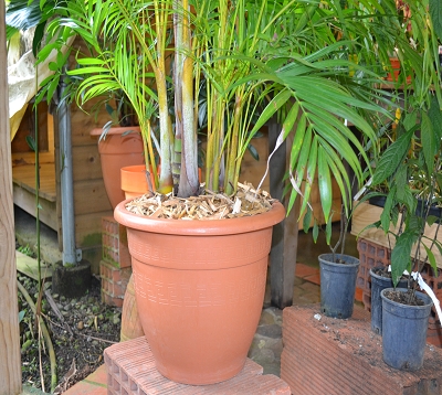 Pot déco