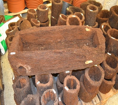 Pot fougère