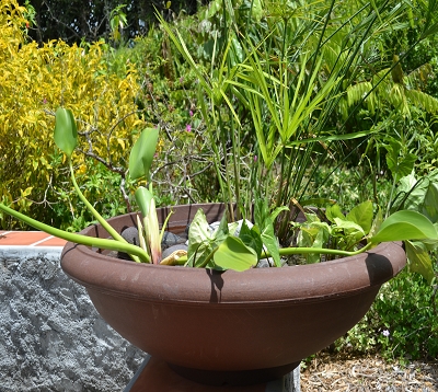 Vase rottomoulé