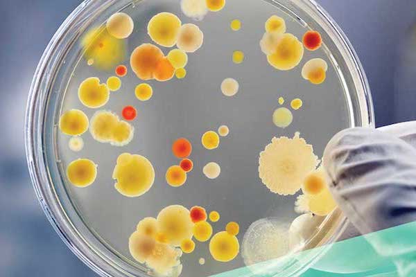 Etudier les Sciences en Australie à l'Université de Melbourne - AustralieMag