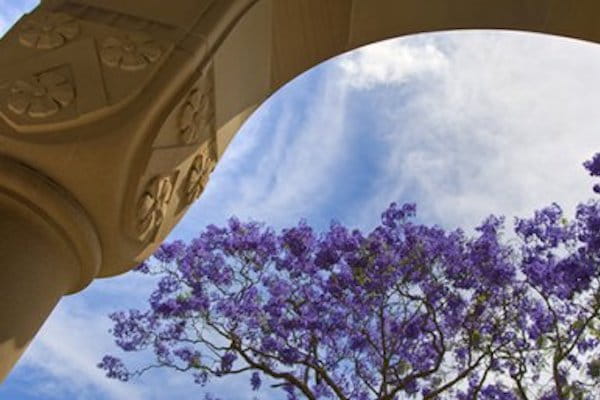 UQ | Priorité à l’harmonie psychique des étudiants | Australie Mag