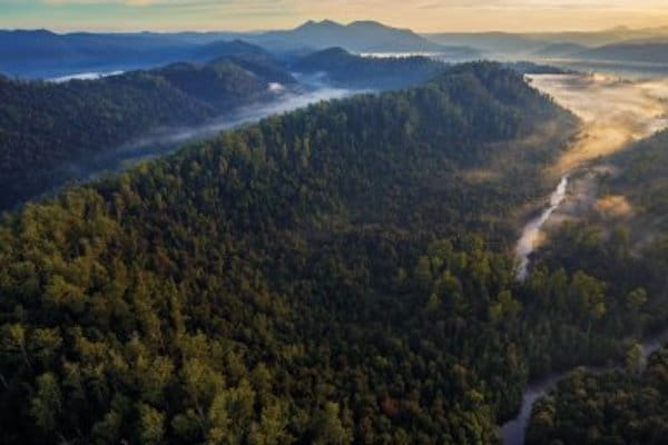 UQ Recherche | Financement participatif et protection de l’Environnement | Australie Mag