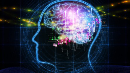 Nouveau centre d'excellence en recherche cognitive | Australie Mag