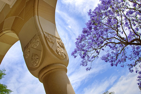 australiemag-histoire-valeurs