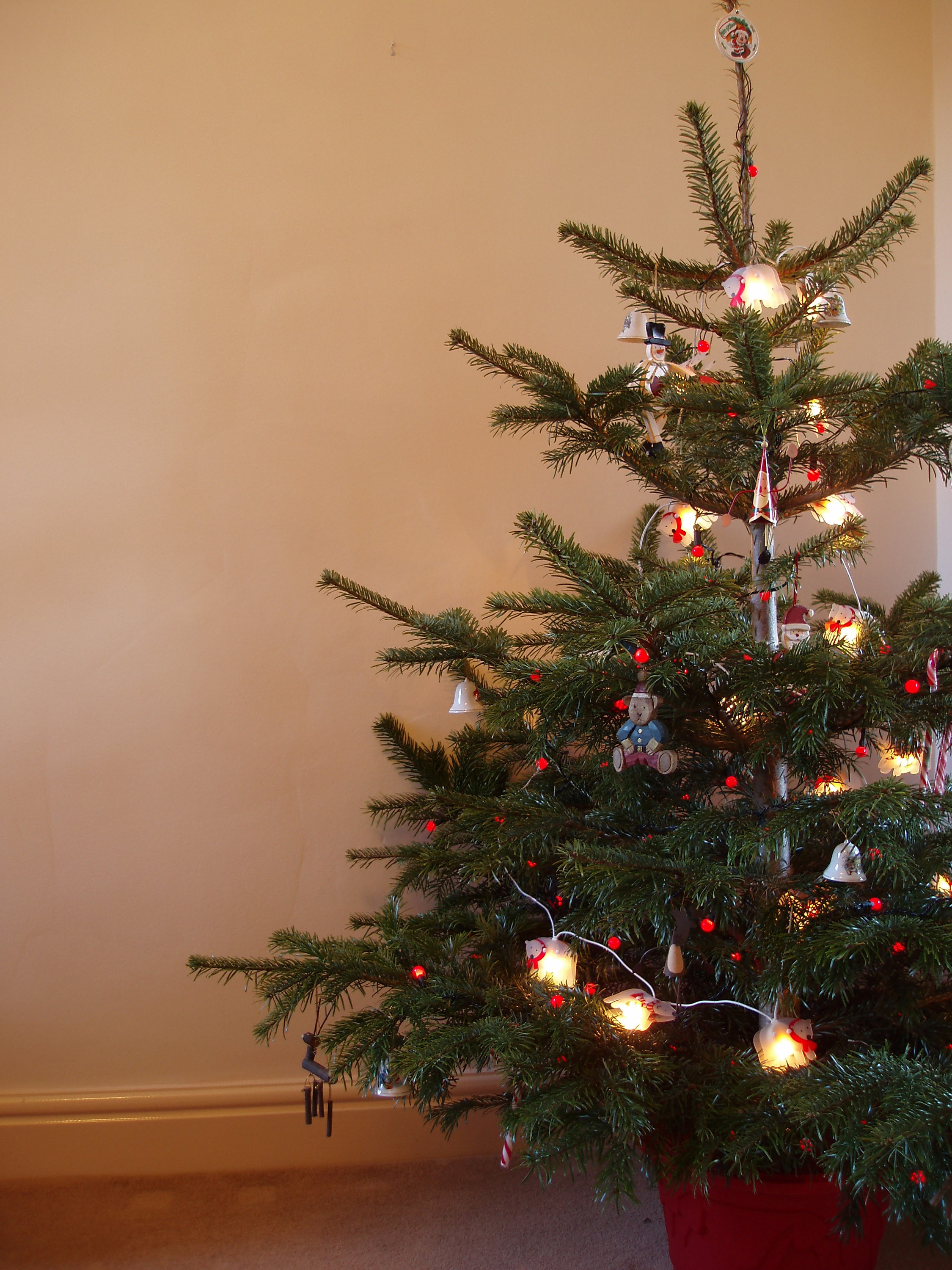 How can your old Christmas tree to help wildlife?