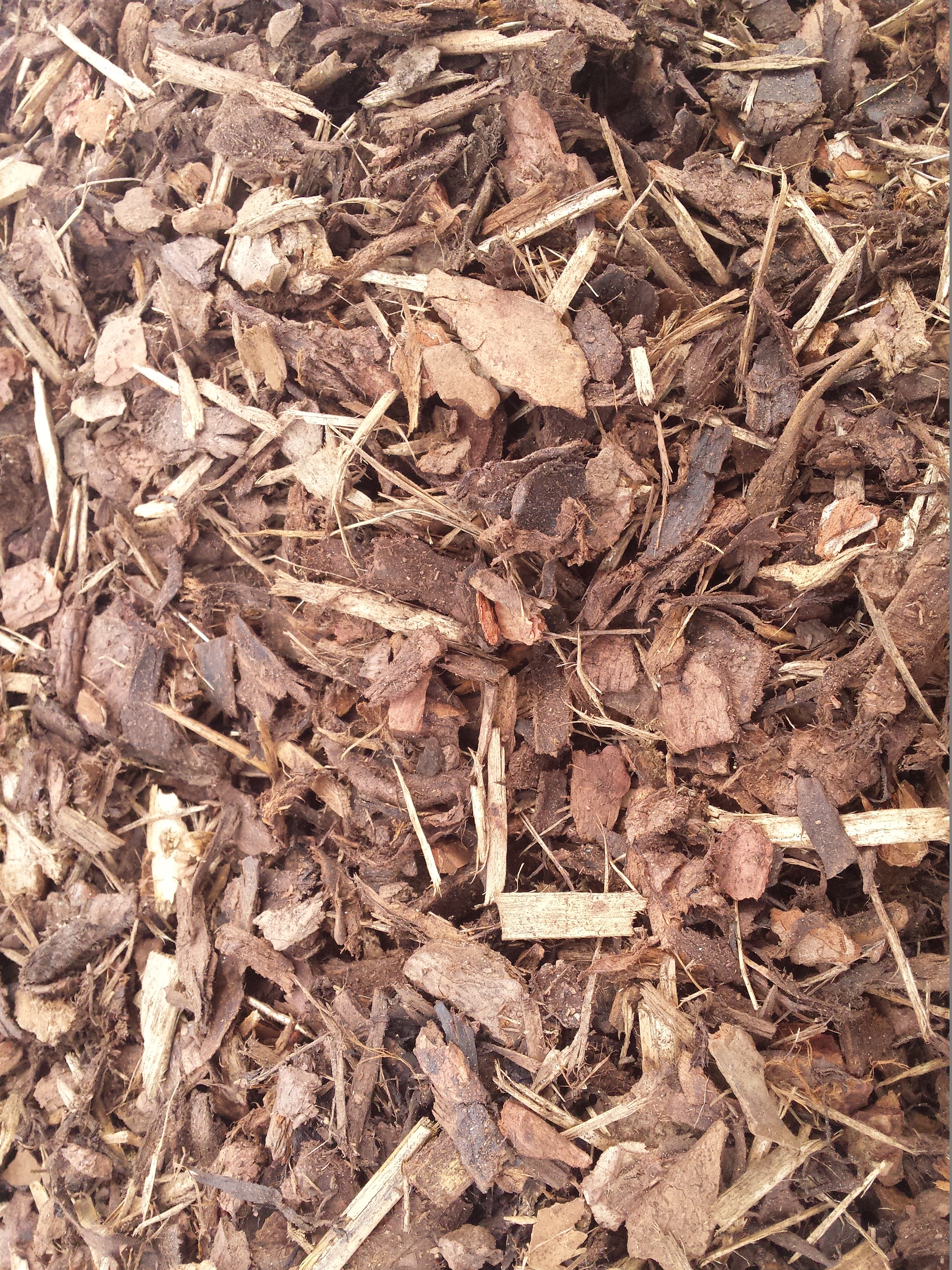 What is mulch and why should we use it?