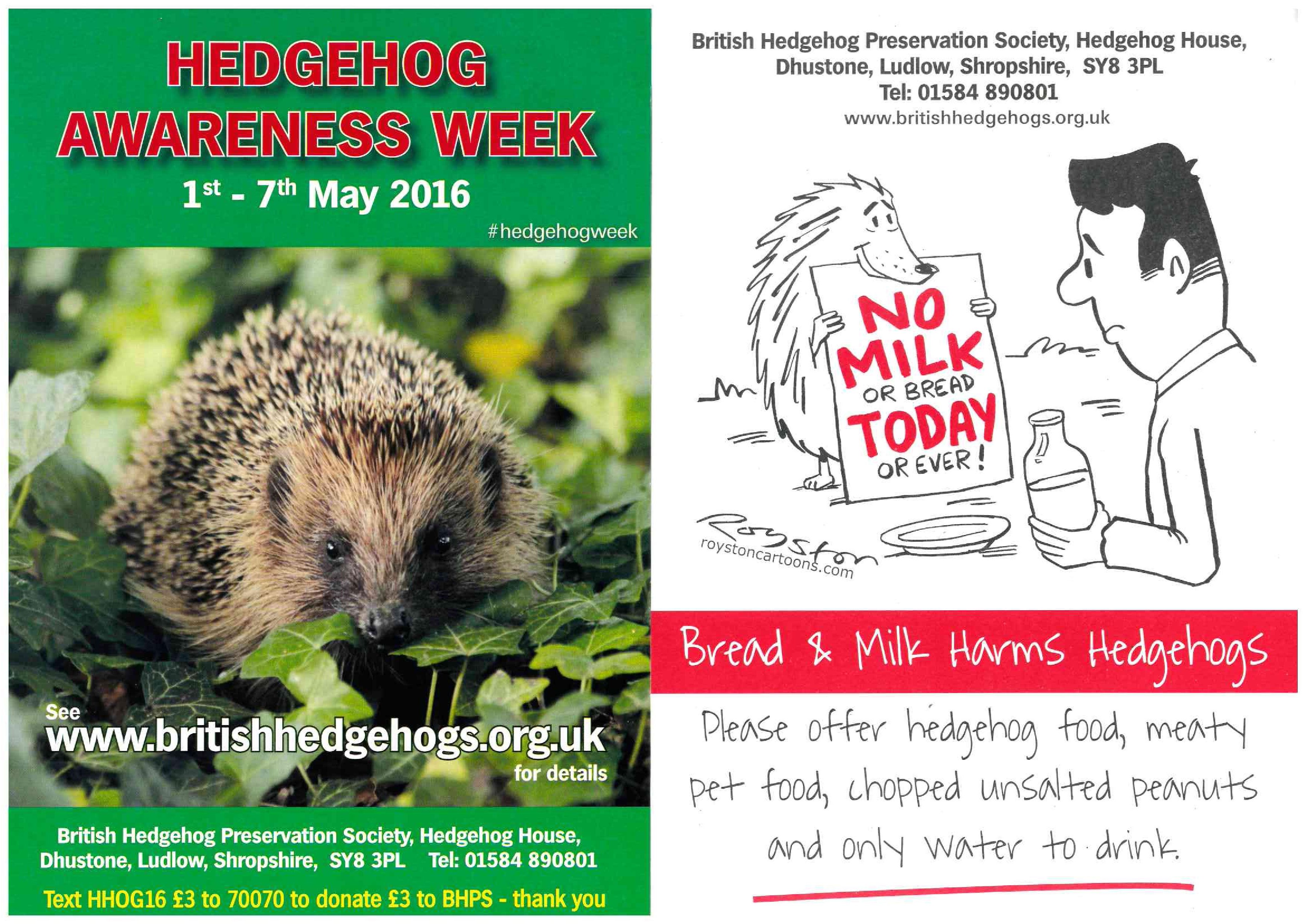 Hedgehog Awareness Week
