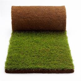 Turf