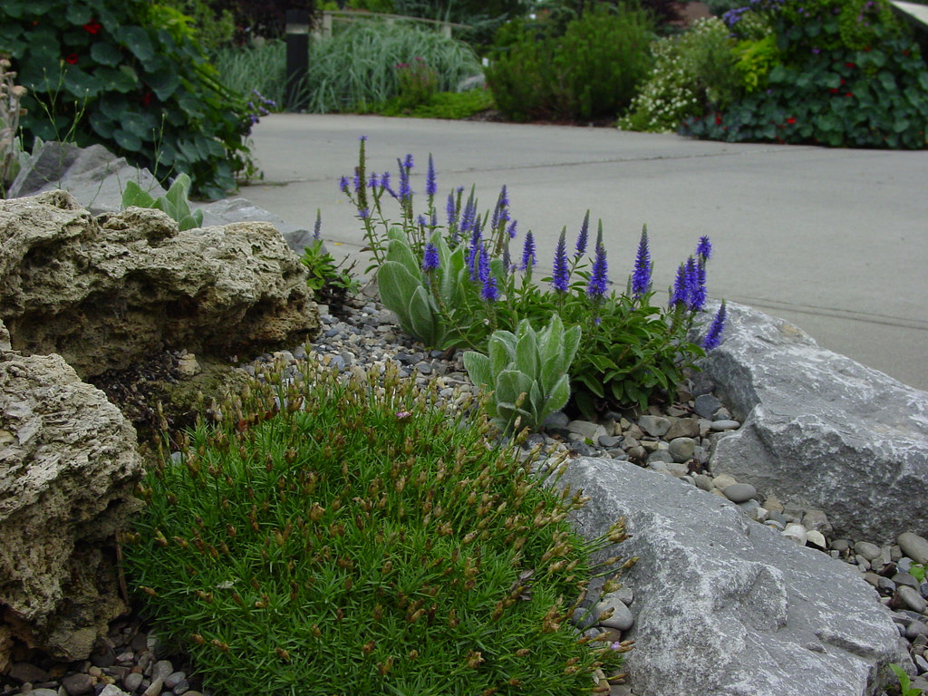 Alpine Garden Design
