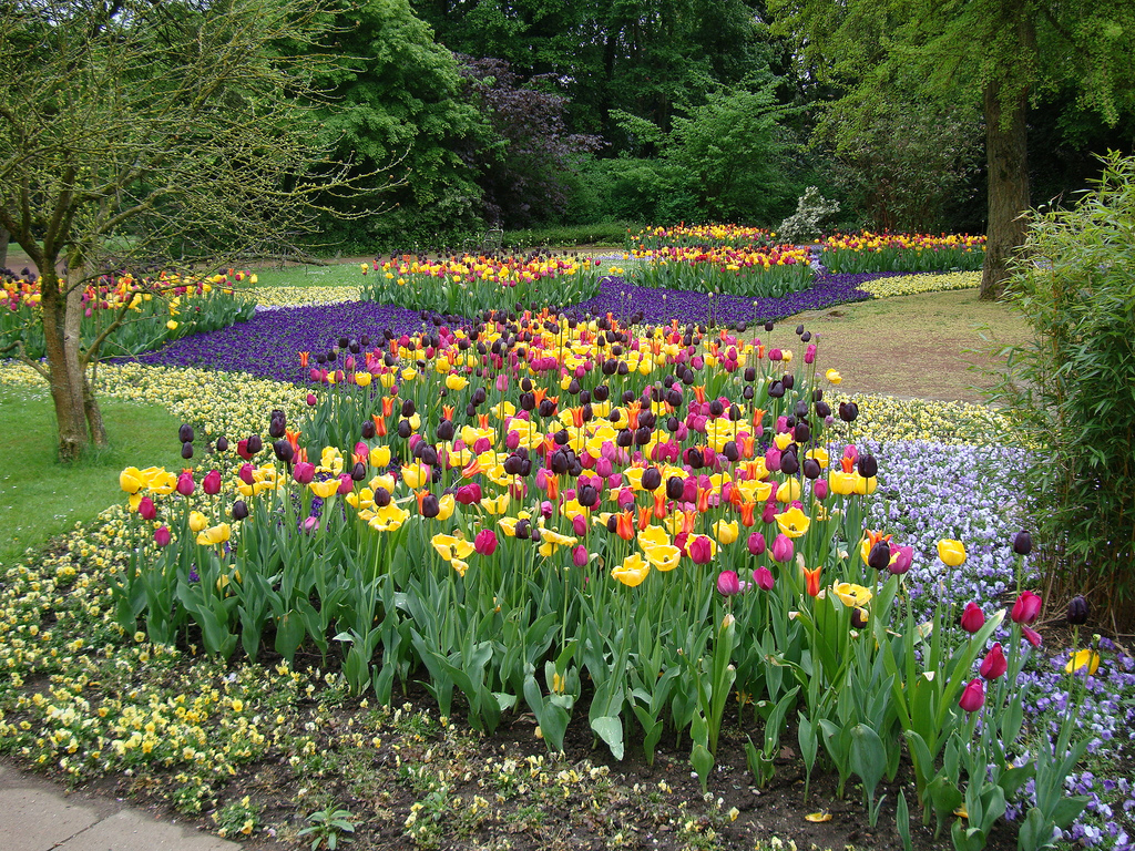 Create Focus On Fabulous Flowerbeds With UK Gravels