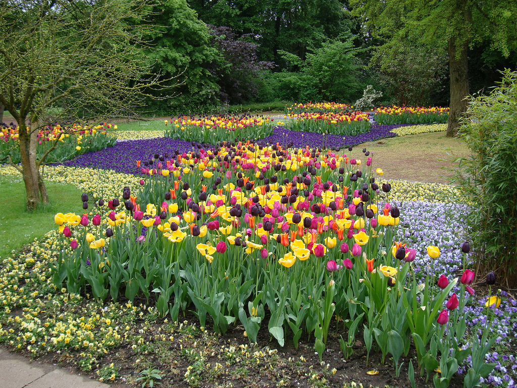 Flowerbeds-Topsoil-Hampshire