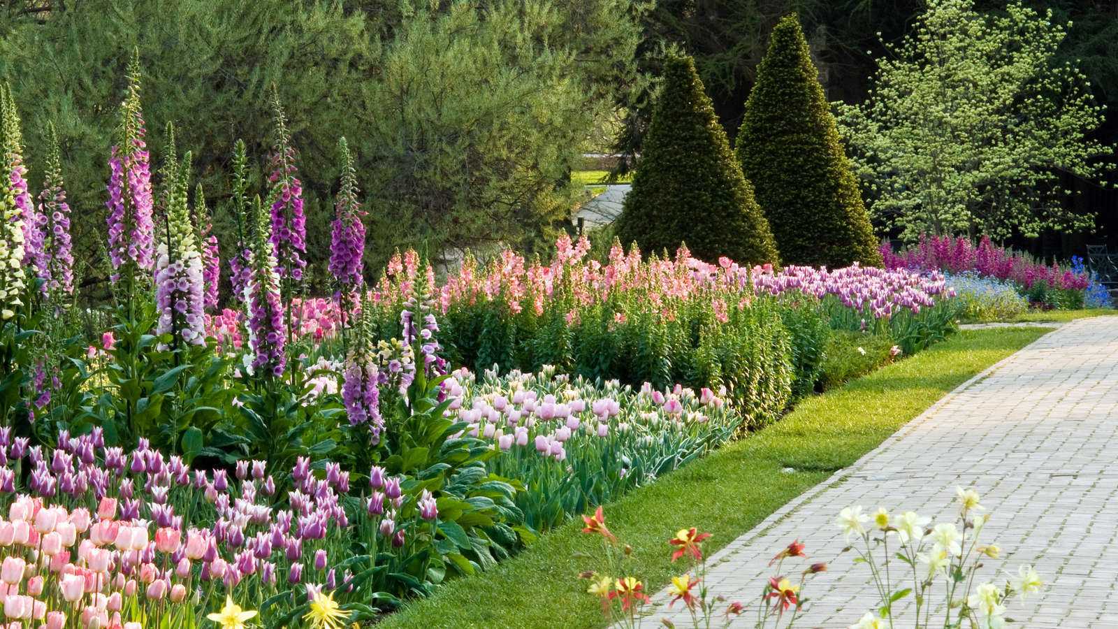 Picture of a Spring Garden