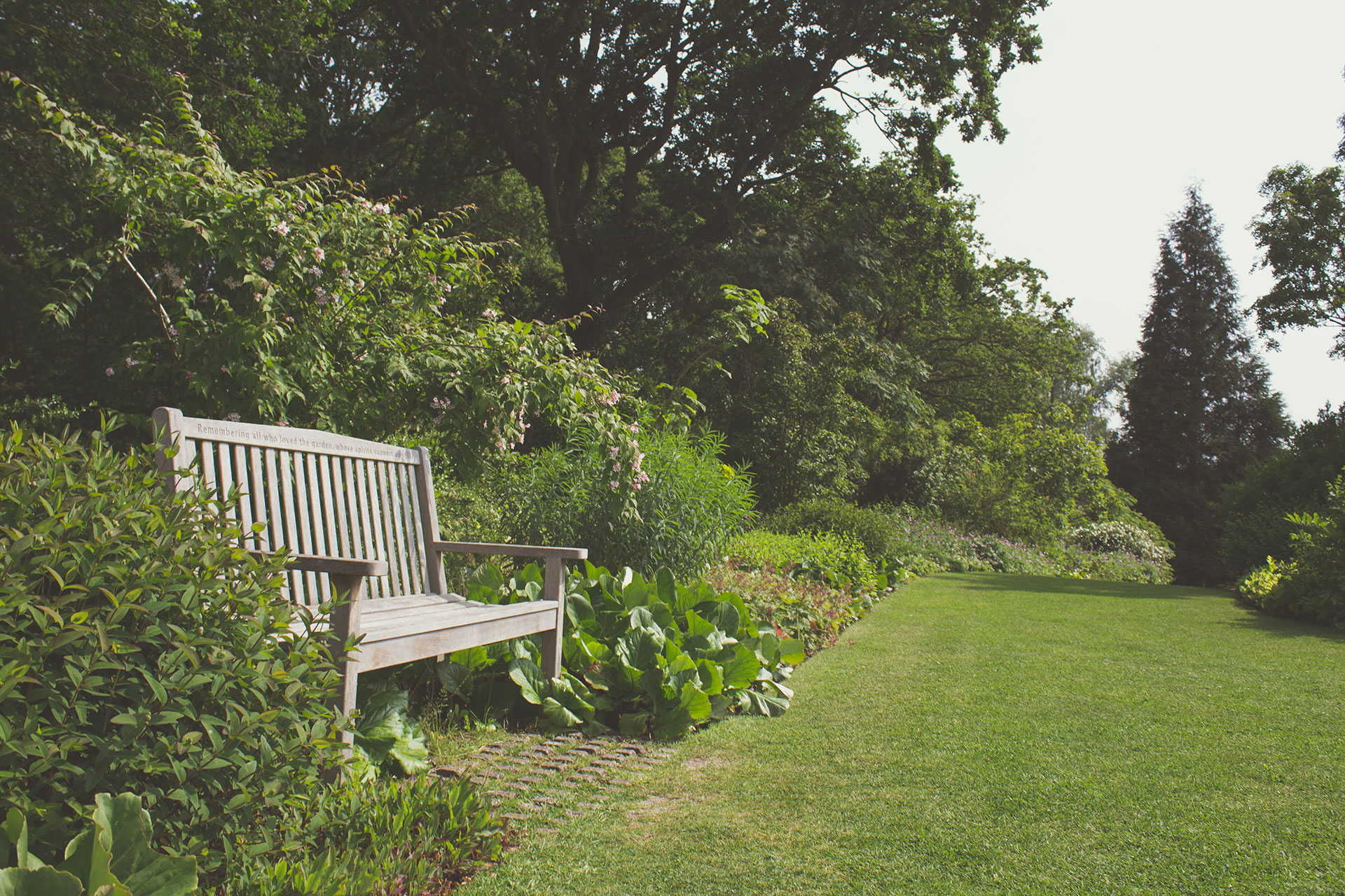 Picture of Landscaping Garden