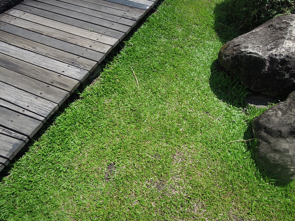 Picture of Grass and Decking