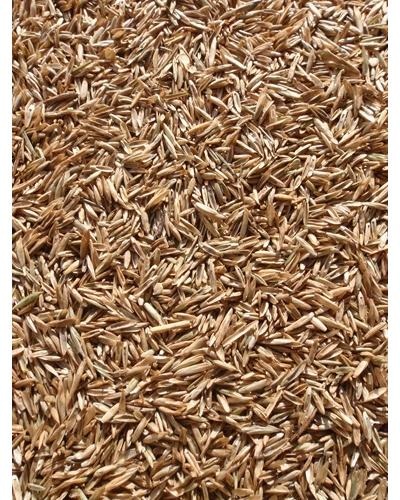 Emerald Seed (with Ryegrass) 20kg