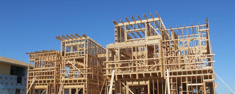 Picture of Building Frame Woodworm Identification