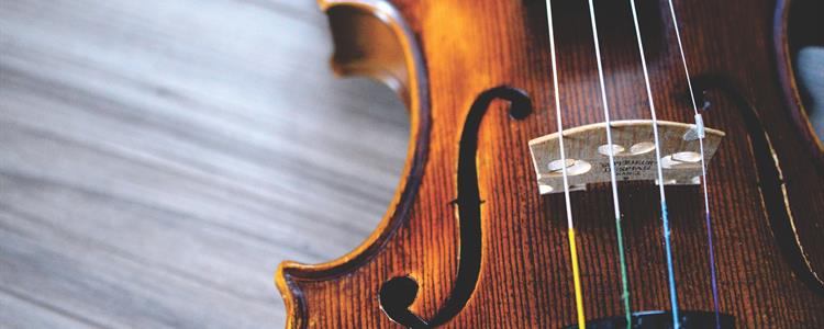 Picture of a Treated Violin