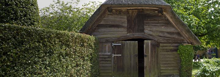 timber treatment, woodworm treatment specialists