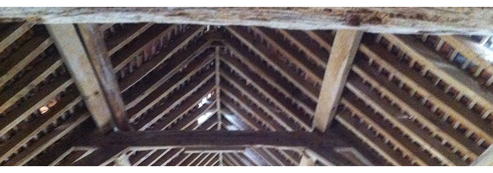 Dry Rot Specialists