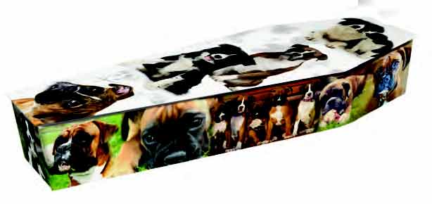 Boxers and Collies Coffin