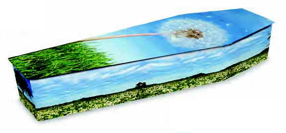 Dandelion Field Coffin