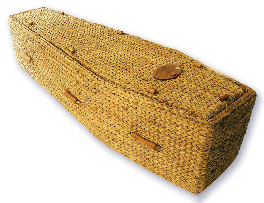 10/09 Daisy Traditional Coffin