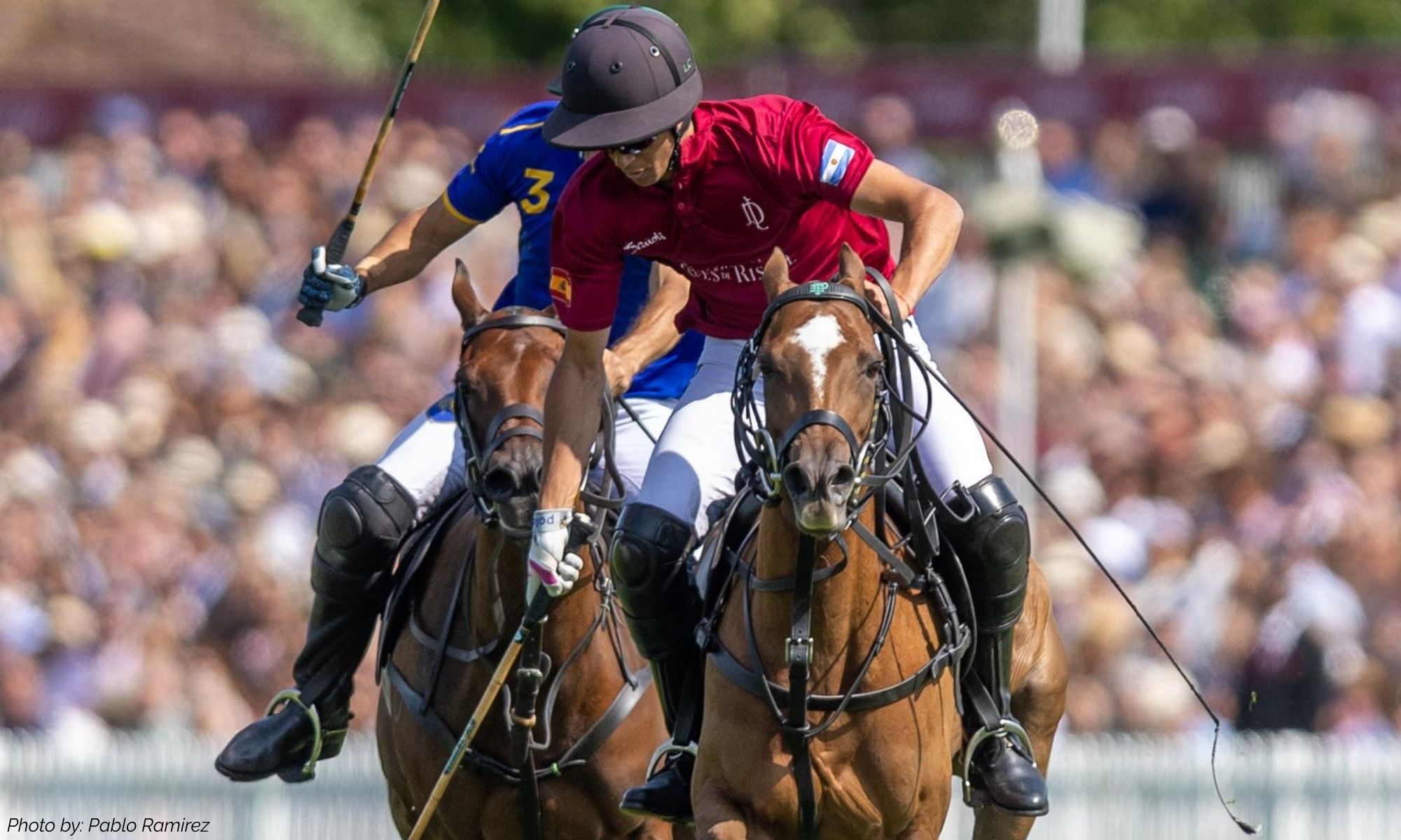 1000x600 credited.jpg