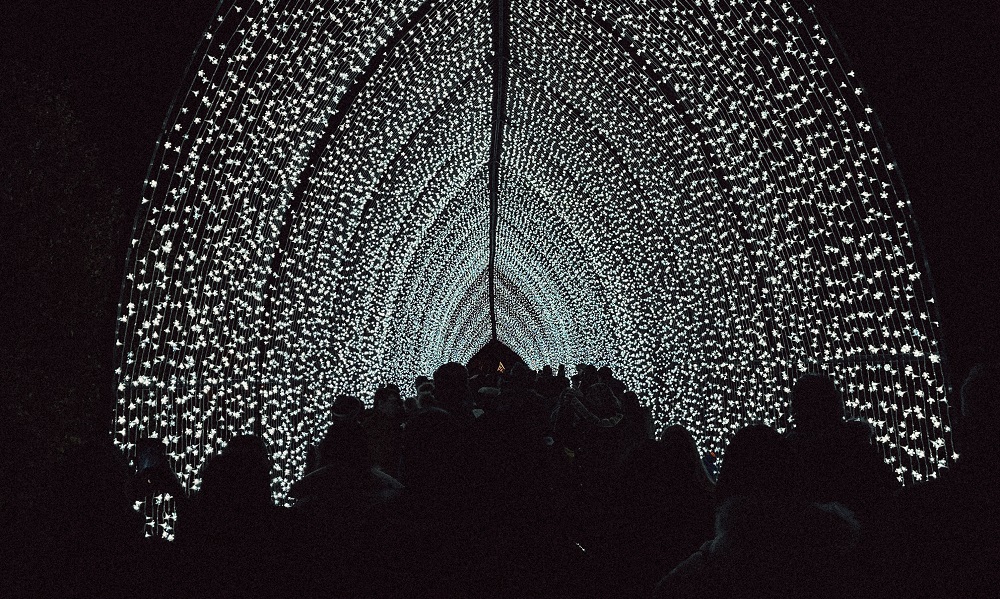 Photo showcasing 
