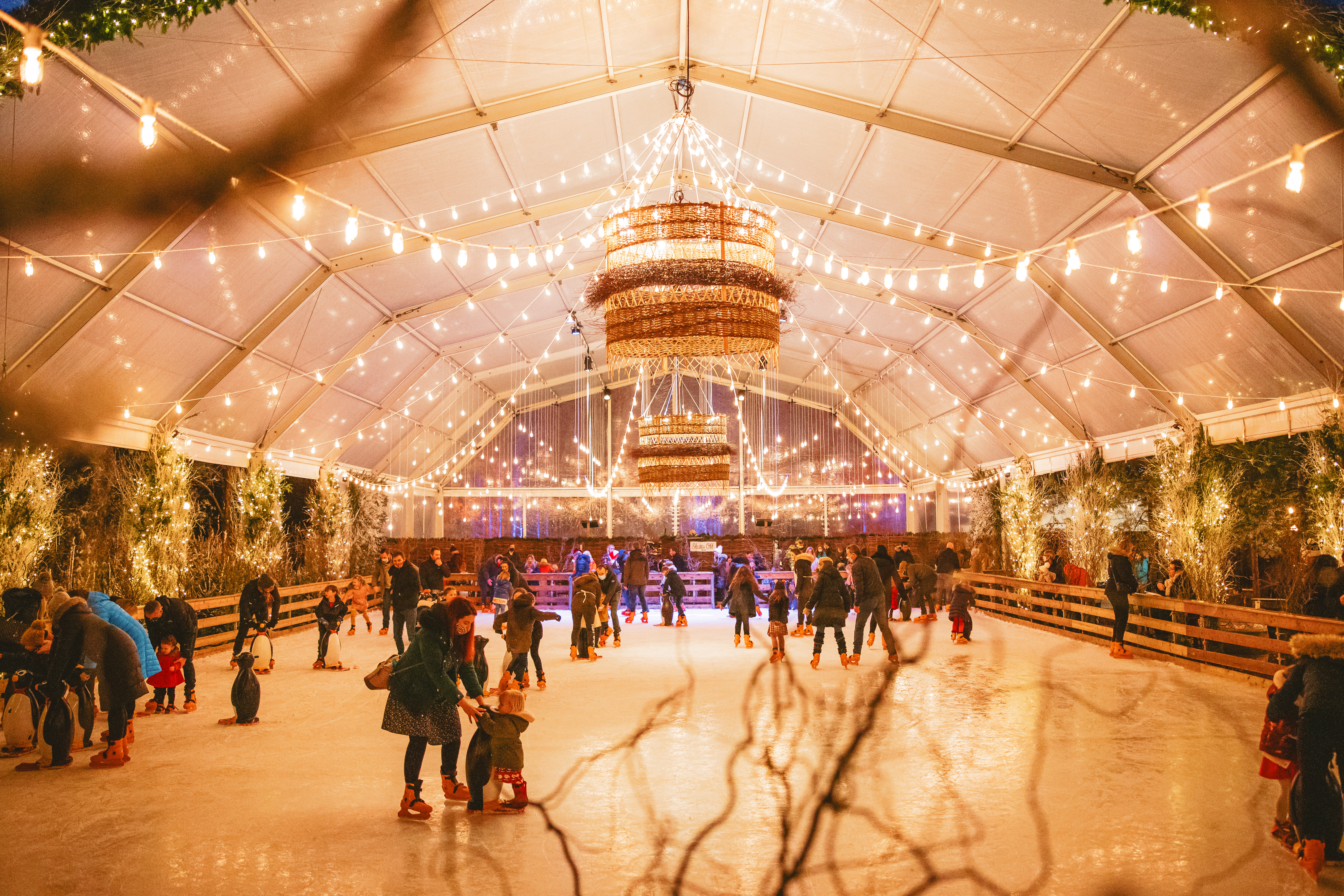 Lapland 2025 Golden Experience – Now On Sale