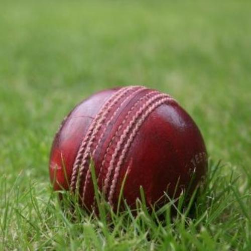 Picture of a Cricket Ball