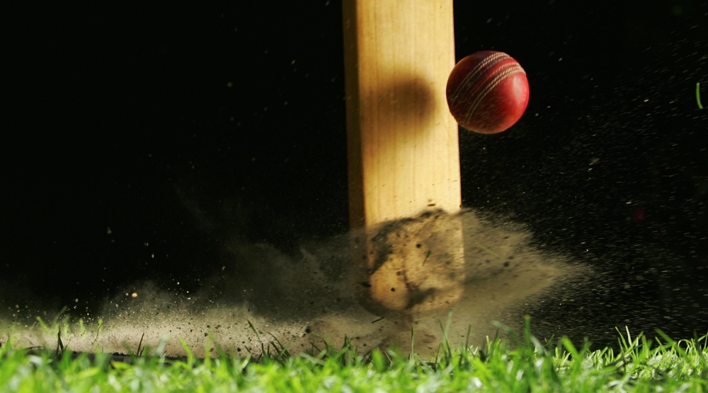 Picture of Corporate Cricket Events