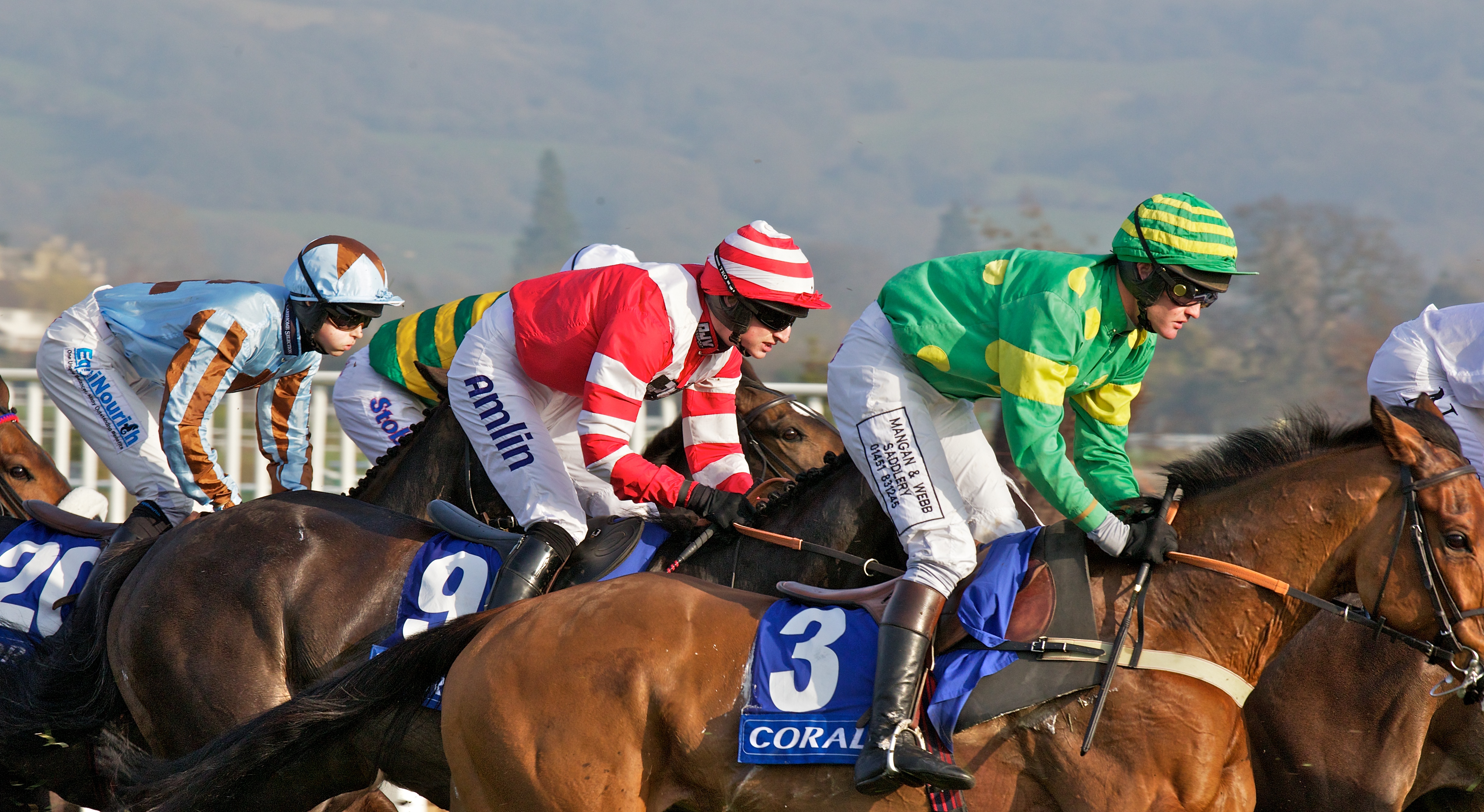Images/Package_Images/Horse-Racing/Cheltenham%20festival%20racing%202.jpg