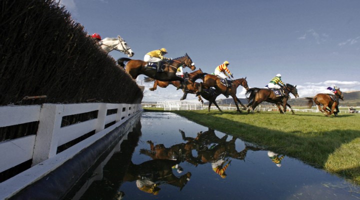 Picture of Horse Racing at Cheltenham
