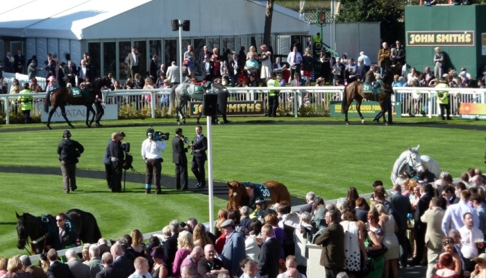 Grand National Packages