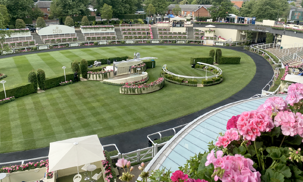 Images/Package_Images/Horse-Racing/Royal-Ascot/2025/Parade Ring.png