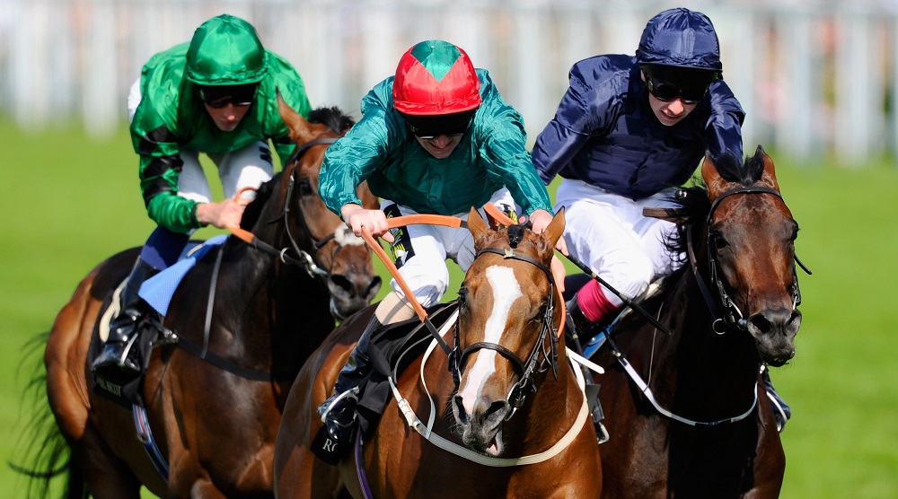 Picture of Sandringham at Royal Ascot