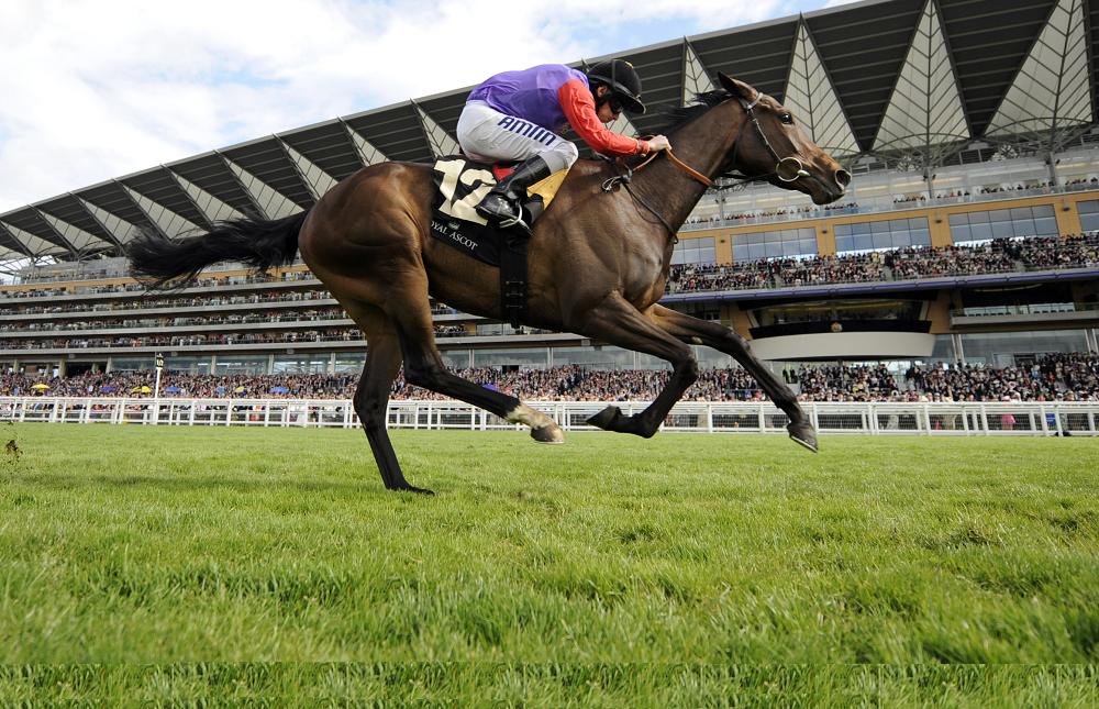 Photo showcasing Sports
