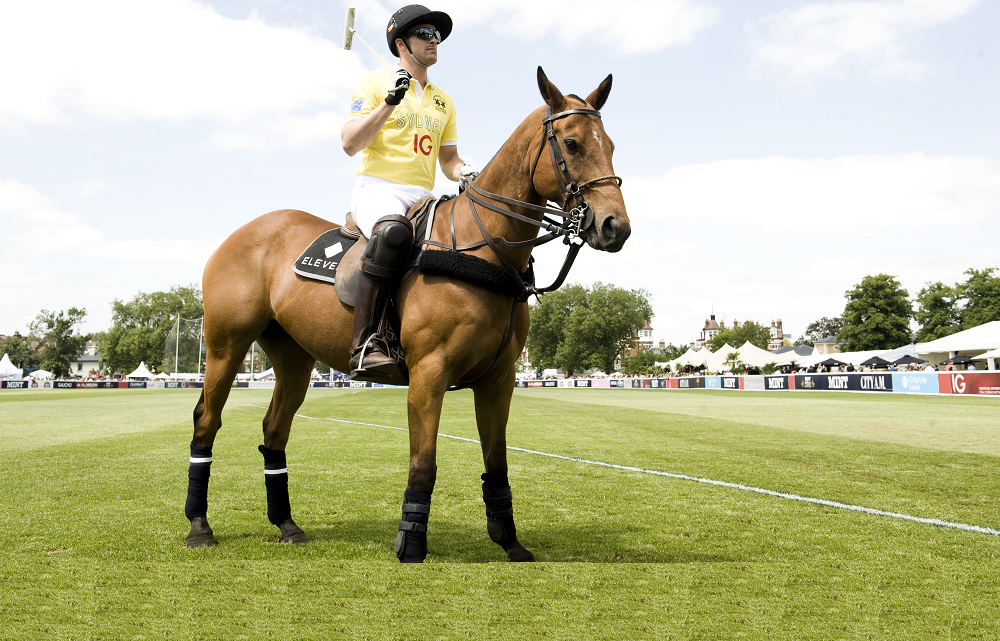 Photo showcasing Polo