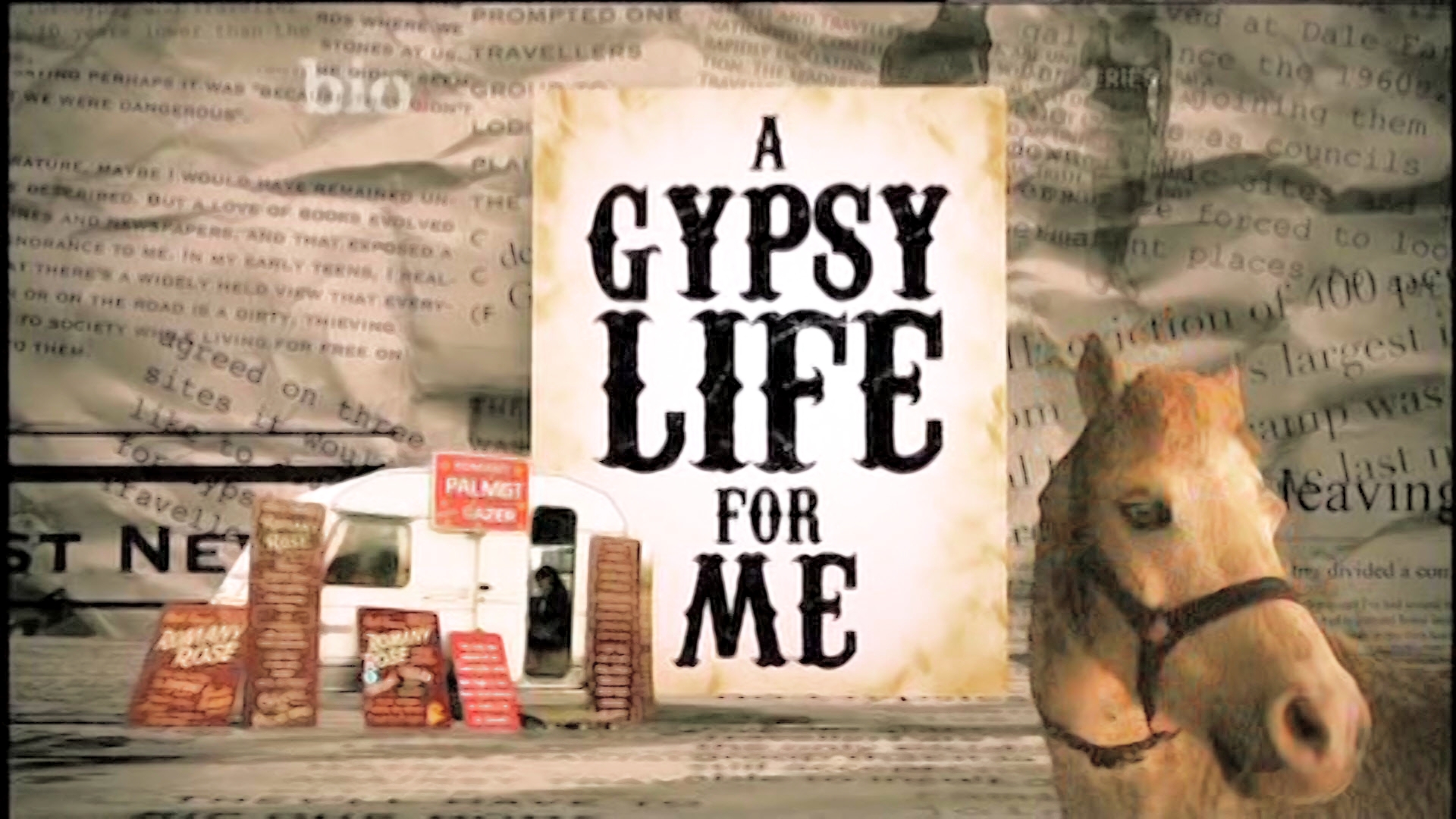 'A Gypsy Life For Me' airs featuring performance coach, Glenn Kinsey
